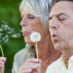 Älteres Ehepaar pustet Pusteblumen.
