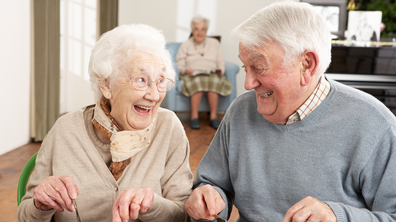 Senior Couple Enjoying Meal Together