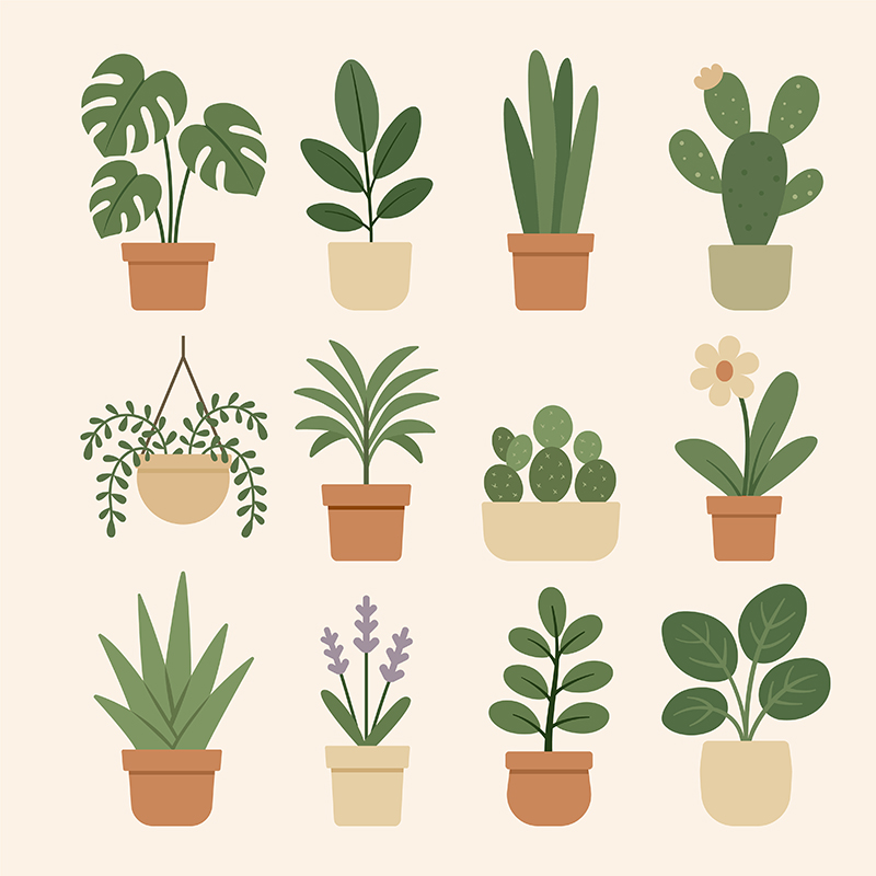 Cute Potted Houseplants Set – Flat Botanical Icons
