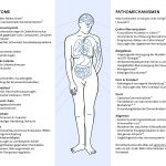 Grafik Schweizerische Gesellschaft für ME & CFS